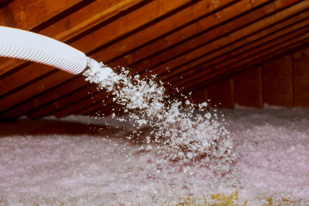 Best Insulation Materials and Products in Punta Gorda, FL